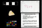 Foto (Objekt + Etikett) von Cracensigillatus acutirostrus (Moericke, 1889)  (NHMW-GEO-2014-0194-0689)